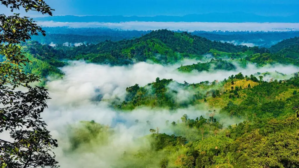 Beautiful Sylhet Bangladesh