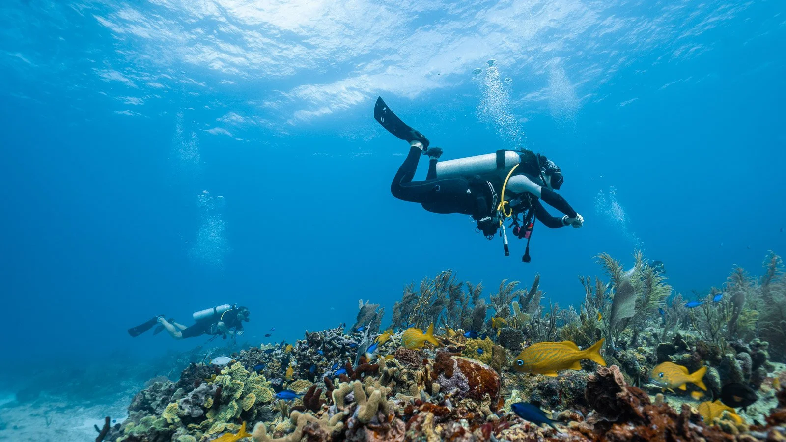 Beneath-the-Surface-Top-5-Scuba-Diving-Destination-You-Don’t-want-to-Miss-in-2025